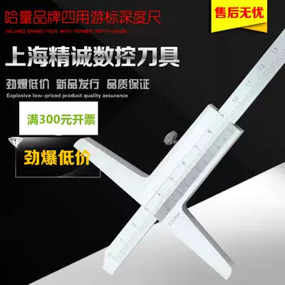 Fake one penalty ten haha depth vernier caliper depth gauge 0-200 0-300 0-500 0-1000