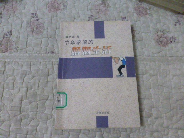 Middle-aged Li Kui's married life