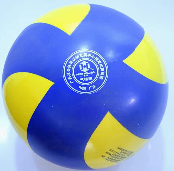 Ballon de volley - Ref 2010351 Image 4