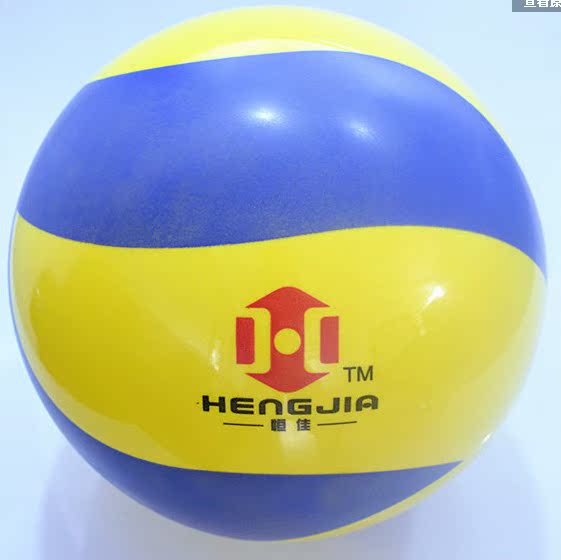 Ballon de volley - Ref 2010351 Image 3