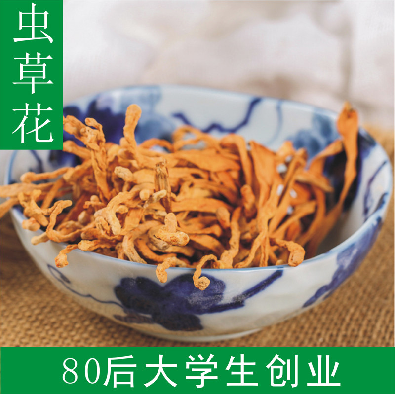 Cordyceps sinensis golden cordyceps militaris special spore head 250g Cordyceps militaris