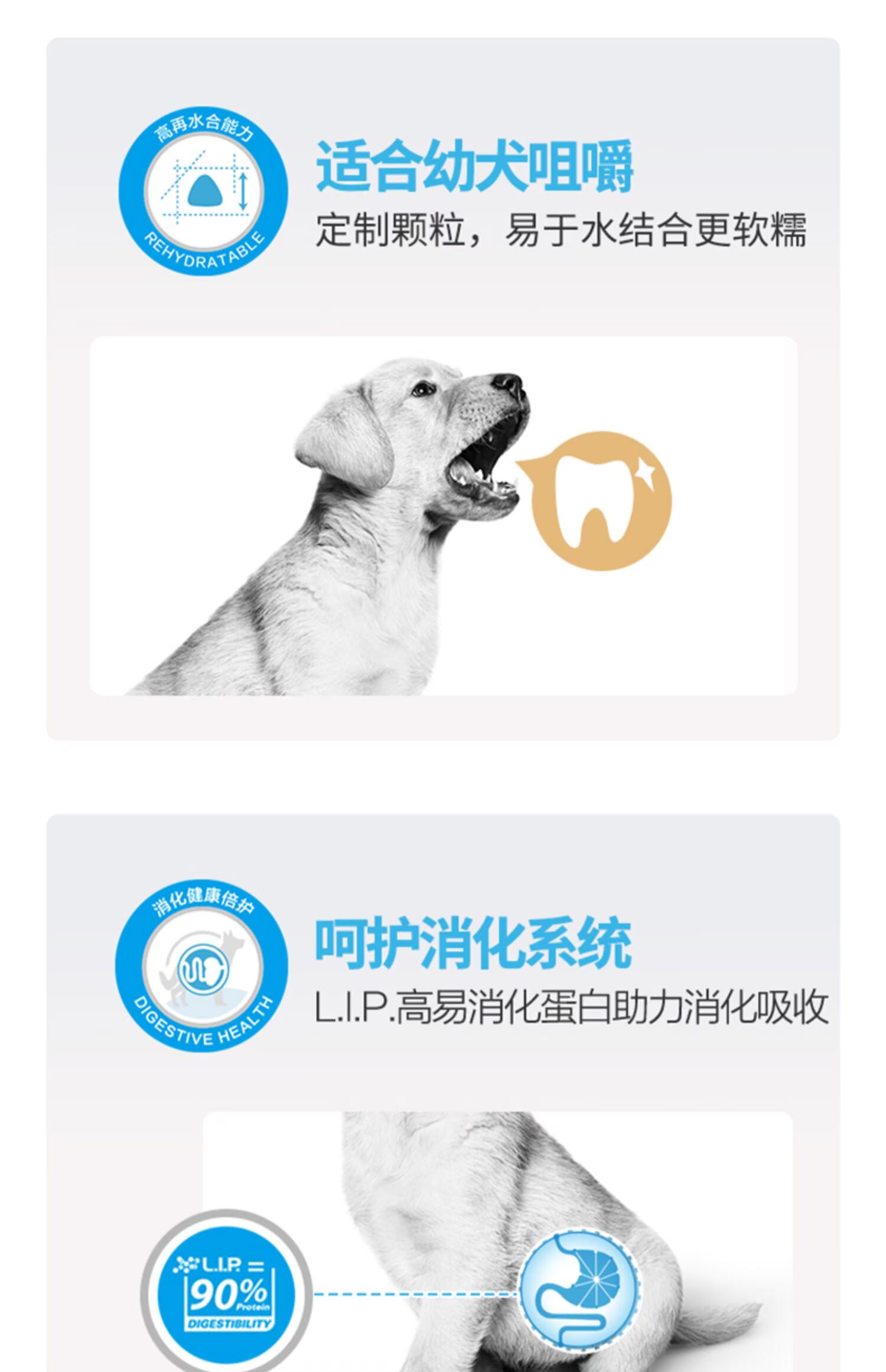 Royal dog thức ăn trung bình chó sữa bánh chó con thức ăn 4kg8 kg MES30 Song Shi Keji pháp luật chống lại thời kỳ cho con bú Yorkshire - Chó Staples mua thức ăn cho chó