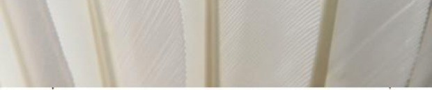 (Bắc Kinh toàn thế hệ) Connaught Boer 506 cầu lông chuyên nghiệp đào tạo bóng bay ổn định Boer vàng vợt cầu lông cho người mới chơi