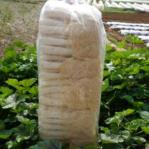 2021 new natural farm self-produced and sold bamboo fungus Bamboo Bamboo Sheng Long skirt dry goods specialty sulfur-free smoked 500g