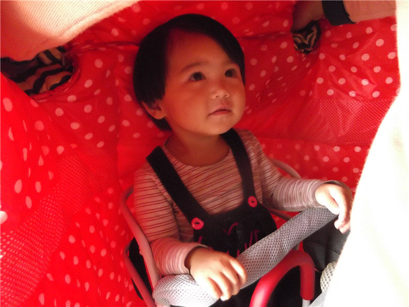 siège enfants pour vélo - Ref 2440942 Image 39