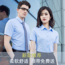 Male and female co-working clothes professional shirts women suit blue pure color short sleeve business positive dress lining custom LOGO