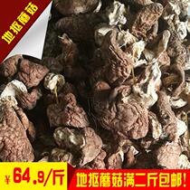 Inner Mongolia Chifeng divest mushroom new mushroom wild poplar woods to pick mushrooms for two pounds