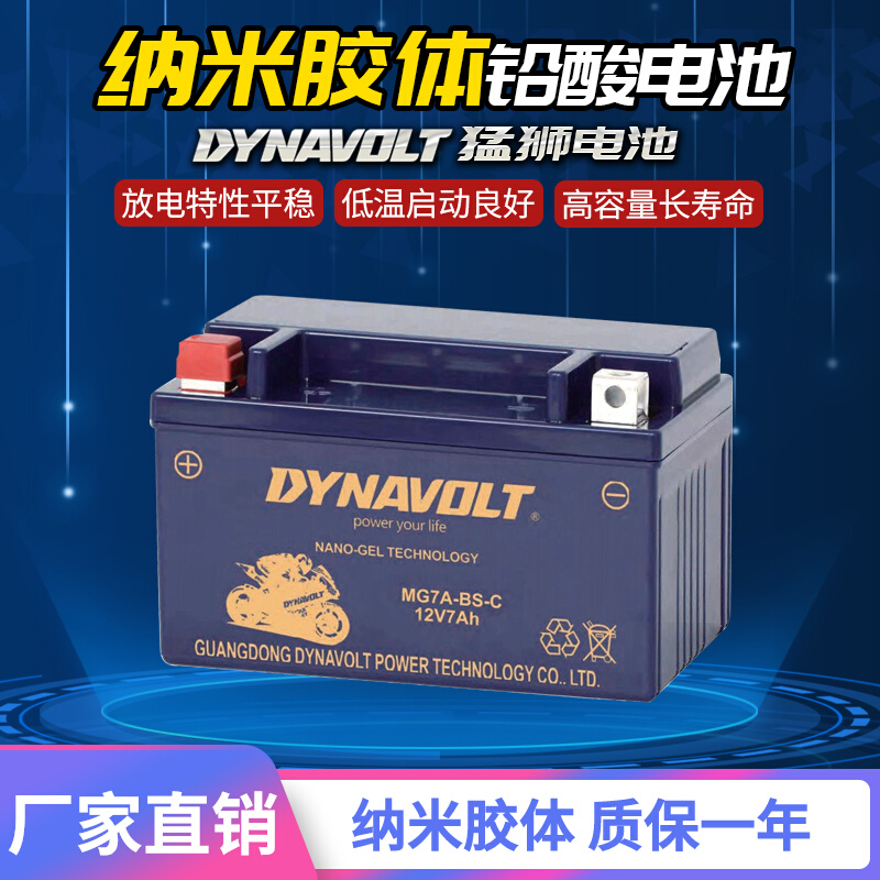 Locomotive Battery Cell 12V Mountain Leaf Eagle Eagle Eagle Tour Eagle Leader 125 Pedal Lithium free of maintenance storage battery