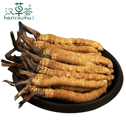 [19 лет Cordyceps] hancaohui cordyceps Тибетские дикие кордицепс Sinensis 2 штуки 1 грамма питания
