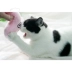 Kasbakas thẻ tám con mèo đồ chơi con chó đồ chơi mèo bạc hà đồ chơi thú cưng thanh âm đồ chơi con chó đồ chơi sang trọng tương tác - Mèo / Chó Đồ chơi