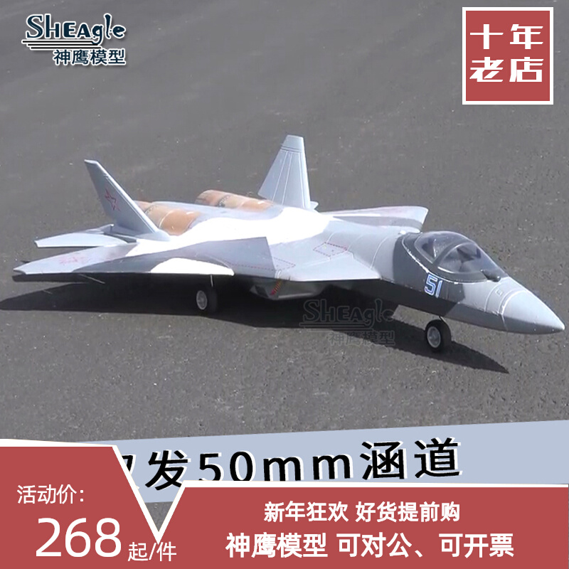 T50 electric remote control aircraft double 50MM culvert model aircraft fixed wing model dual channel fighter