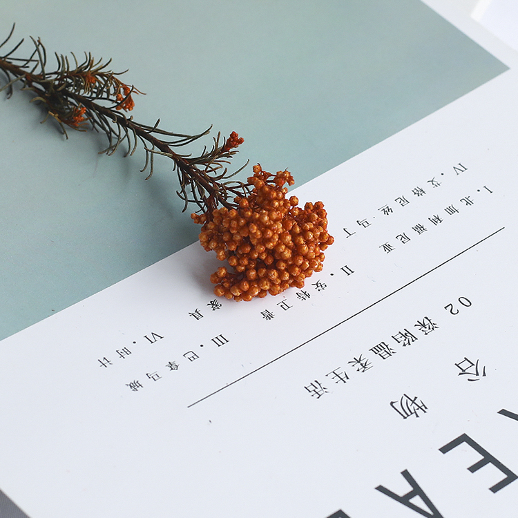 Hoa hồng tự chế gạo hồng hoa gạo vĩnh cửu với hoa bảo vệ hoa mũ Quảng Châu DIY - Phụ kiện tóc dây buộc tóc cổ trang