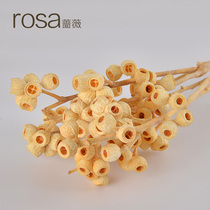 Rosehips white dried fruits evergreen flower with flowers and earth farmyard preservation floral ring accessories white DIY