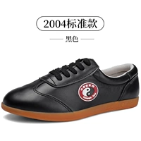 2004 Black Standard