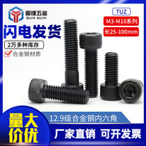 M3M4M5M6M8M10TUZ12 Grade 9 high strength alloy steel cup head bolt cylindrical head hexagon socket screw