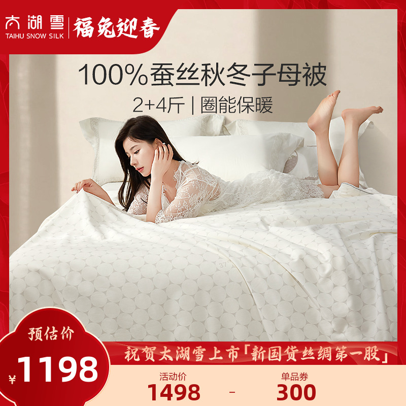 Taihu snow circle 100% silk quilt spring, autumn and winter quilt thickened to keep warm