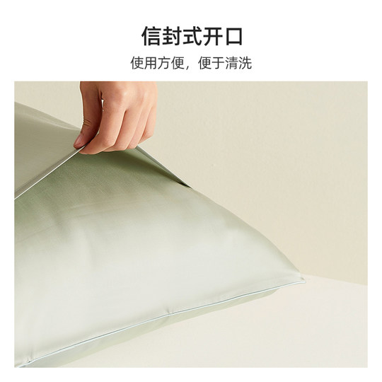 Taihu Snow Silk Pillowcase Single Side Solid Color Classic Simple Silky Mulberry Silk Pillowcase Single Pack