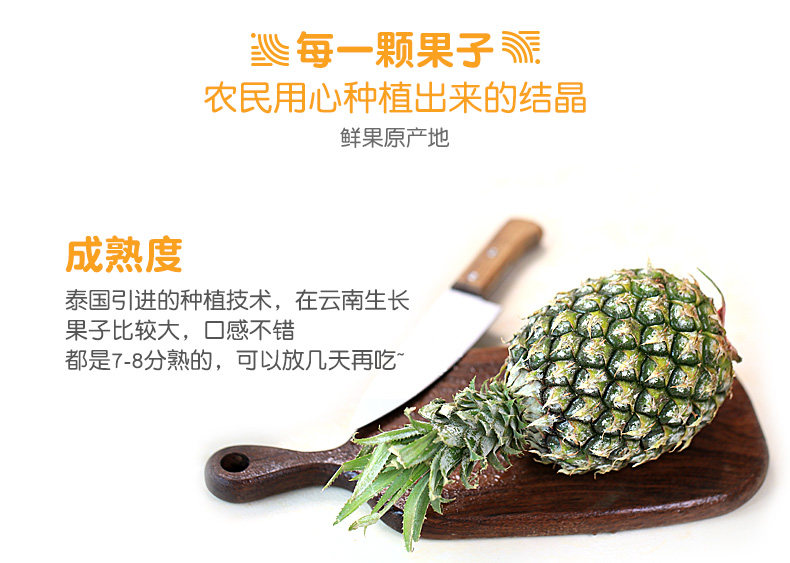 西域美农 云南蜜香菠萝 净重9斤 图4