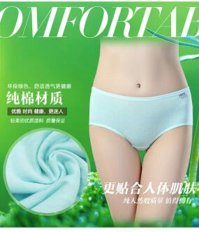 Slip A001 - Ref 652456 Image 8