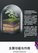 Organic fertilizer rooted powder powder balcony vegetable planted flower fruit leaf surface washed water soluble fertilizer