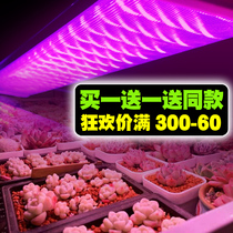  Led fleshy fill light color full spectrum plant fill light Household anti-legging imitation sunlight flower nursery