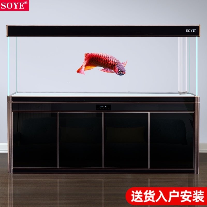 Jinjing super white fish tank aquarium floor high end living room partition bottom filter glass 2021 new large dragon and Fish Tank