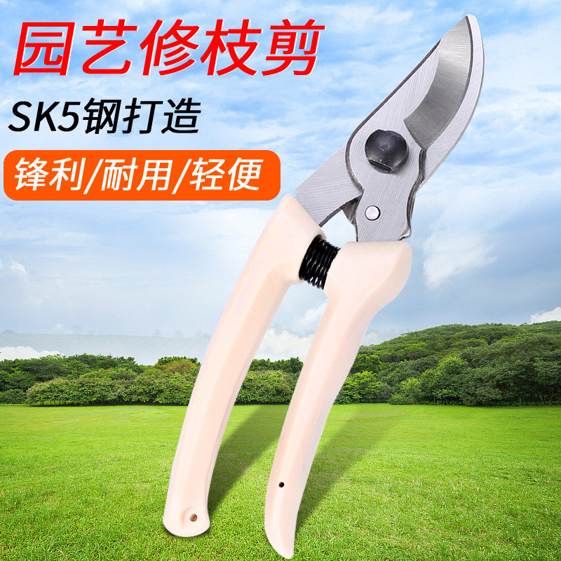 Pruned pruned garden shears whole branches Branches Flowers Branches Cut Twigs branches Fruits Cut garden Coarse Branches Flowers Wood Elbows Cut for Home Fruit Tree Cut