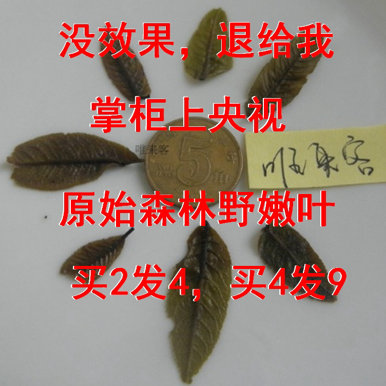 Buy 2 Get 4, the Shopkeeper Appeared on Cctv, Chengbu Wild Green Money Willow Tea, Ancient Tree Tender Leaves, Raw Leaves, Money Willow Tea, New Tea Buy 2 Get 4, the Shopkeeper Appeared on Cctv, Chengbu Wild Green Money Willow Tea, Ancient Tree Tender Leaves, Raw Leaves, Money Willow Tea, New Tea