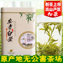 5 pieces of 2020 new tea Anji white tea authentic 50 komingqen spring tea origin authentic bulk