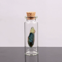 Бутылка пуповины