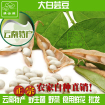 Yunnan specialty big white kidney bean farmers self-produced white cloud bean big white bean sulfur-free soup good product Lijiang specialty miscellaneous grains