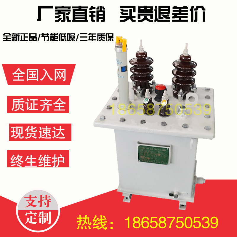 D11-10kva single phase power transformer 5kw20kw30 50kw oil immersed 10000 high voltage 10kv to 220V