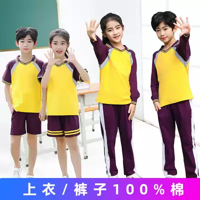 Zhuhai Doumen District Primary School uniform summer suit short-sleeved t-shirt pure cotton summer children's clothing long-sleeved trousers autumn
