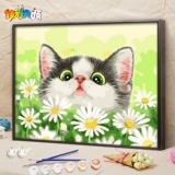 Jiacai tianyan diy цифровой масляной картины