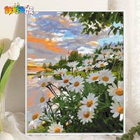 G710 Маленькая Дейзи