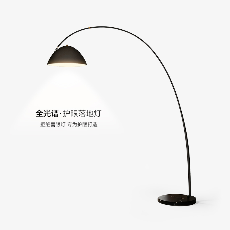 Full-Spectrum Fishing Lamp, Floor Lamp Next to the Sofa in the Living Room, Bedroom Carpet Ambient Light, Minimalist Trendy Standing Lamp