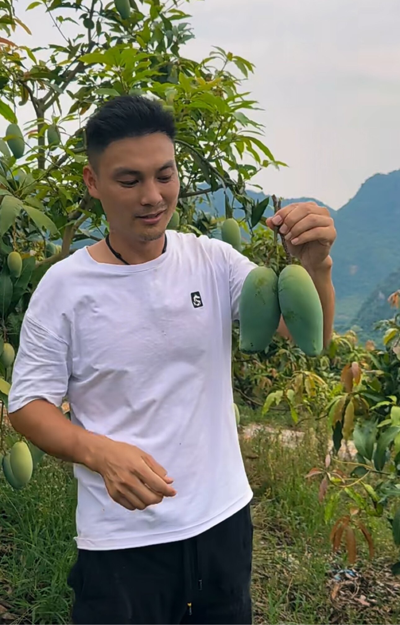 芒乡缘