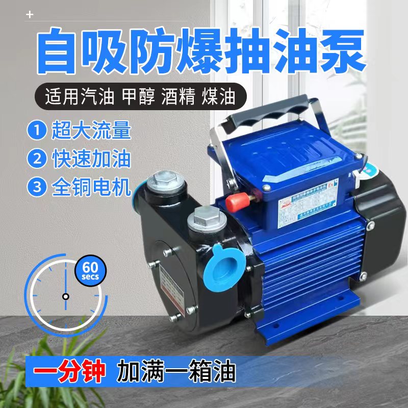 Zhuangwang Explosion-Proof Oil Pump 220V Gasoline Methanol Diesel High-Flow Vehicle-Mounted 12V24V Electric Self-Priming Fuel Pump