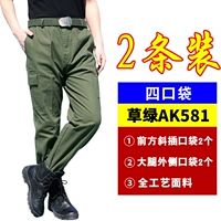 Трава зеленый AK581 (два)