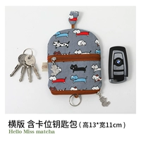 Серодонный кот