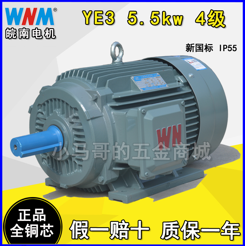 Anhui Wannan Motor WNM vertical horizontal 5 5KW 4 grade YE3-YX3-132S-4 original full copper core