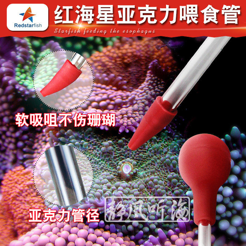 Red Sea Star Acrylic Coral Feeding Esophageal Feeder