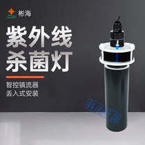 Binhai UV germicidal lamp throw-in design water purification algae removal and sterilization aquarium disinfection special diving lamp