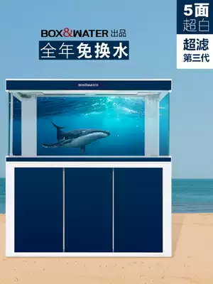 Bot fish tank living room landscaping aquarium super white glass ecological bottom filter small medium and large red dragon cylinder boxwater