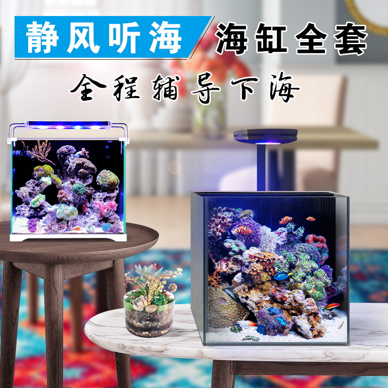 Complete Beginner's Kit for Back-Filter Marine Aquariums: Mini Small Saltwater Tank, Coral Tank, Clownfish Tank, Beginner's Marine Aquarium Complete Beginner's Kit for Back-Filter Marine Aquariums: Mini Small Saltwater Tank, Coral Tank, Clownfish Tank, Beginner's Marine Aquarium