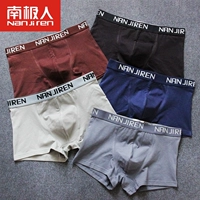 Nam Cực 5 Pack Lycra cotton boxer tóm tắt thanh niên eo giữa không có dấu vết U lồi thoáng khí nam bốn góc đồ lót cotton quần lót su đúc