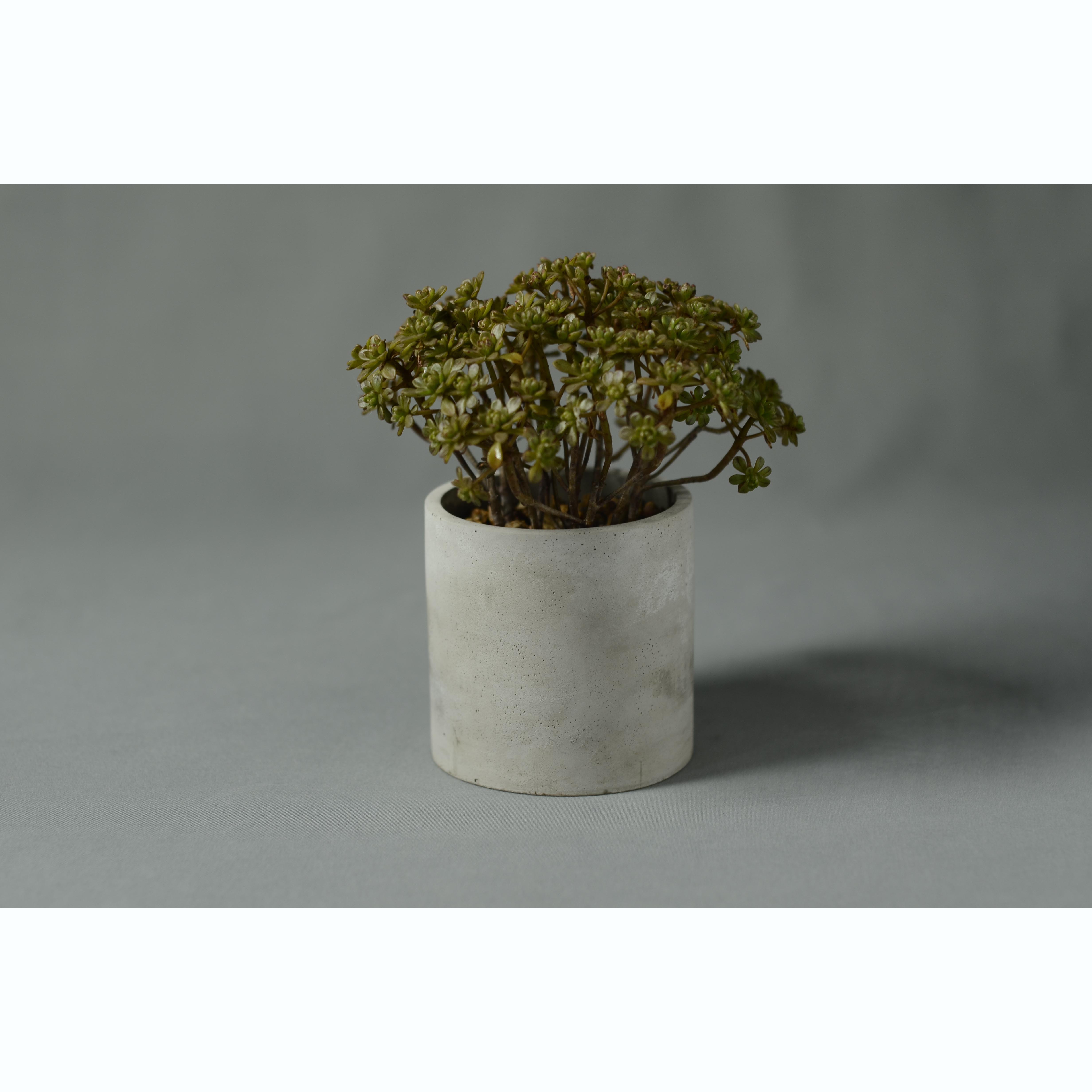 Nordic style round cement flower pot plant pot desktop storage pen holder