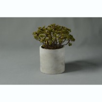 Nordic wind round cement flower pot plant basin desktop containing pen holder