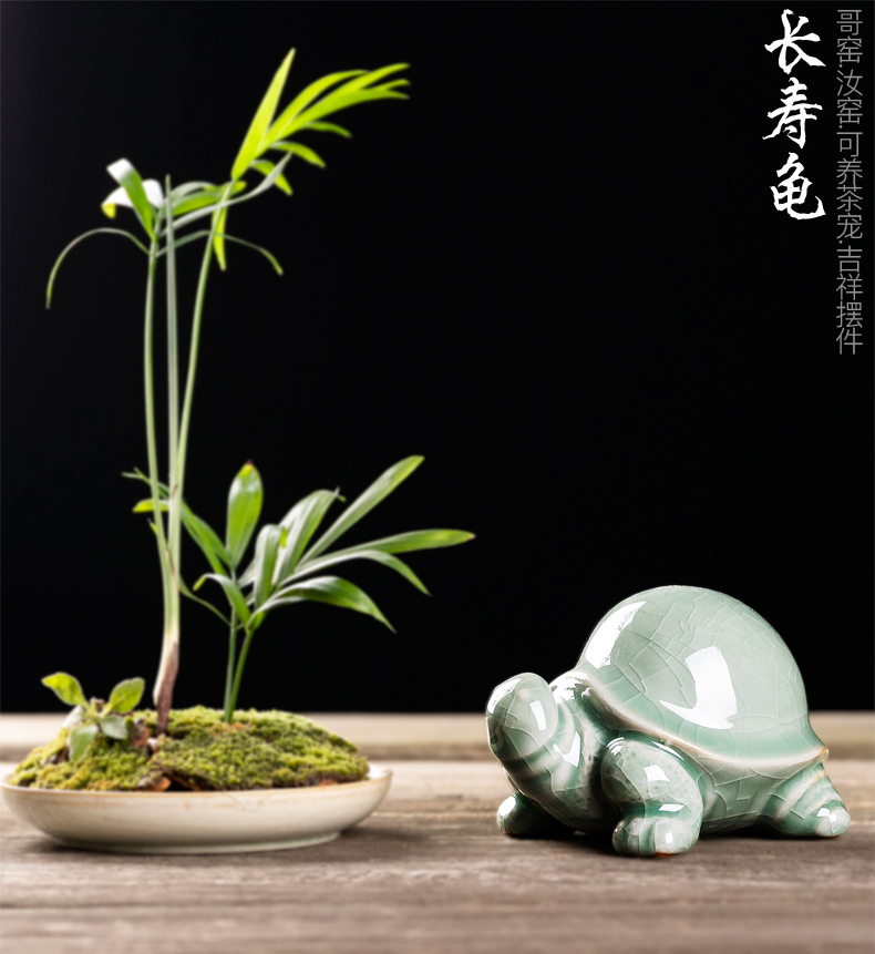 Creative purple sand tea brother spoil your up pet decorative home furnishing articles play kung fu tea tea tea tea accessories