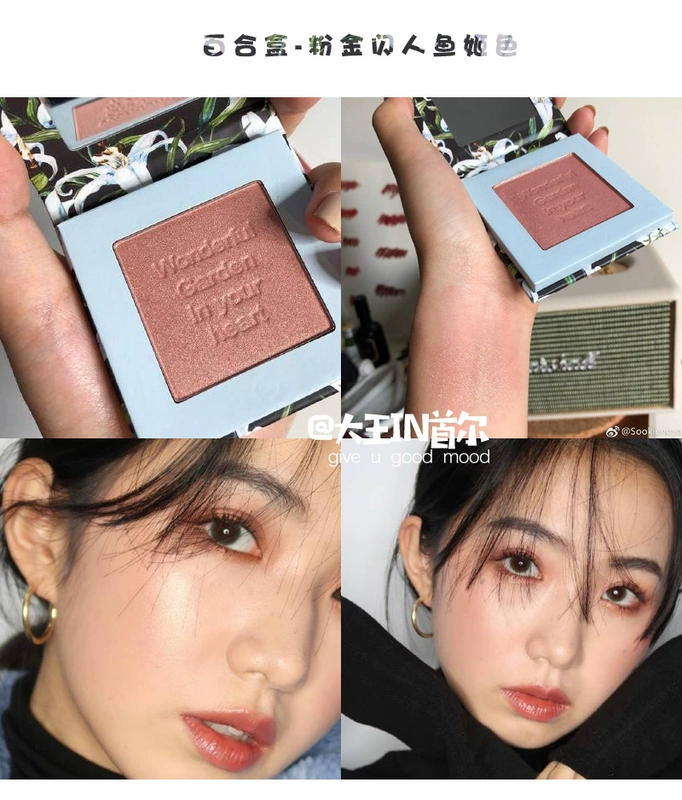NyceMakeup văn học sơn dầu hộp hoa phấn má hồng kem làm sáng da trang điểm nude phấn má hồng không thấm nước lưới đỏ - Blush / Cochineal phấn má dạng thỏi